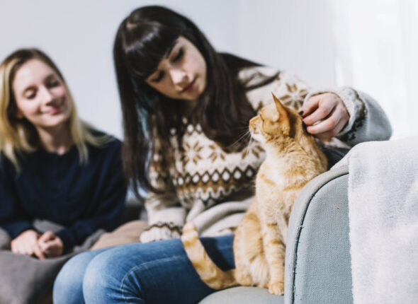 women-spending-time-with-cat
